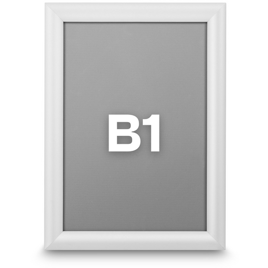 Cadre Standard B1 type clic-clac (couleur argent)